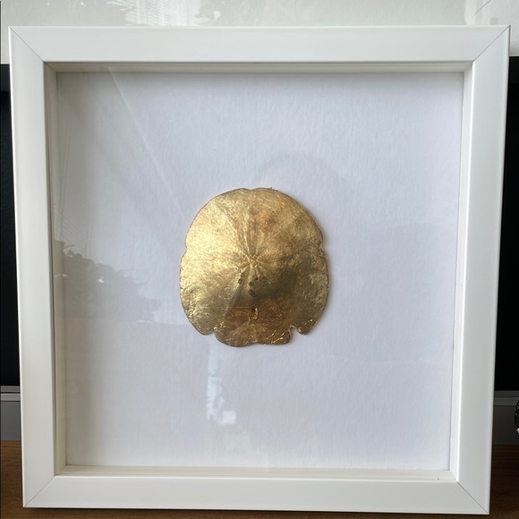 Other - Shadow Boxed Gilt Sand Dollar White Wooden Frame EUC